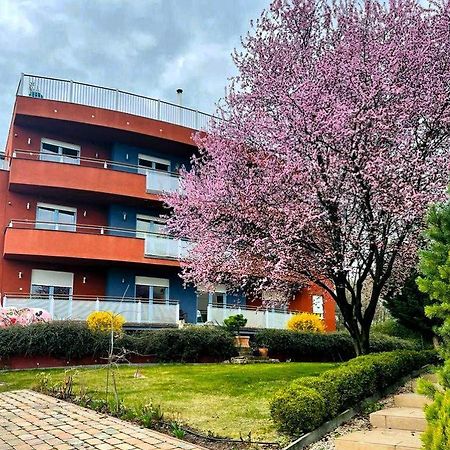 Rosehill Garden Family Villa With A Great Budapest View Exteriér fotografie