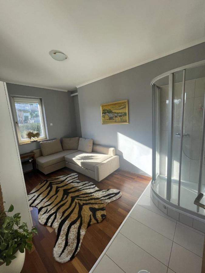 Rosehill Garden Family Villa With A Great Budapest View Exteriér fotografie