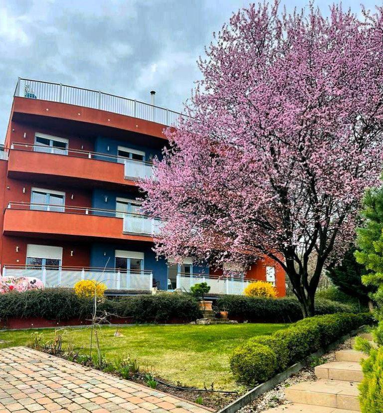 Rosehill Garden Family Villa With A Great Budapest View Exteriér fotografie